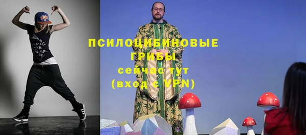 соль курить ск Белокуриха