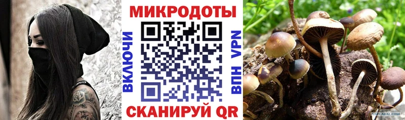 цены   Воткинск  Галлюциногенные грибы прущие грибы 